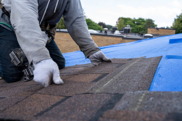 Best Metal Roofing Contractor  in Salem, OH